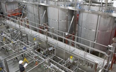 Sanitary Grade Process System Design for Pharmaceutical Company